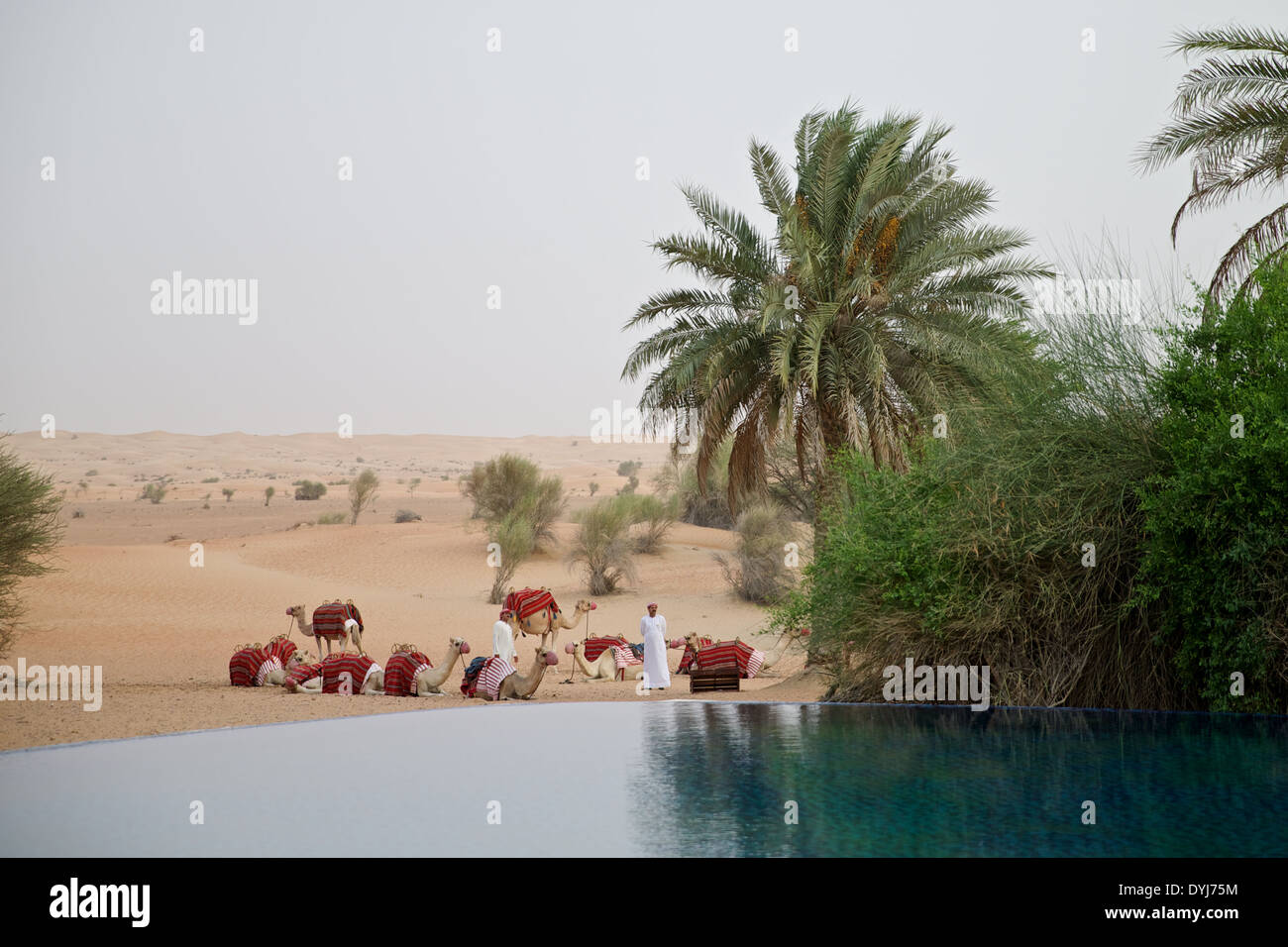Dubai Middle East Holiday Vacation Desert Stock Photo Alamy Dubai Middle East Holiday Vacation Desert Stock Photo Alamy