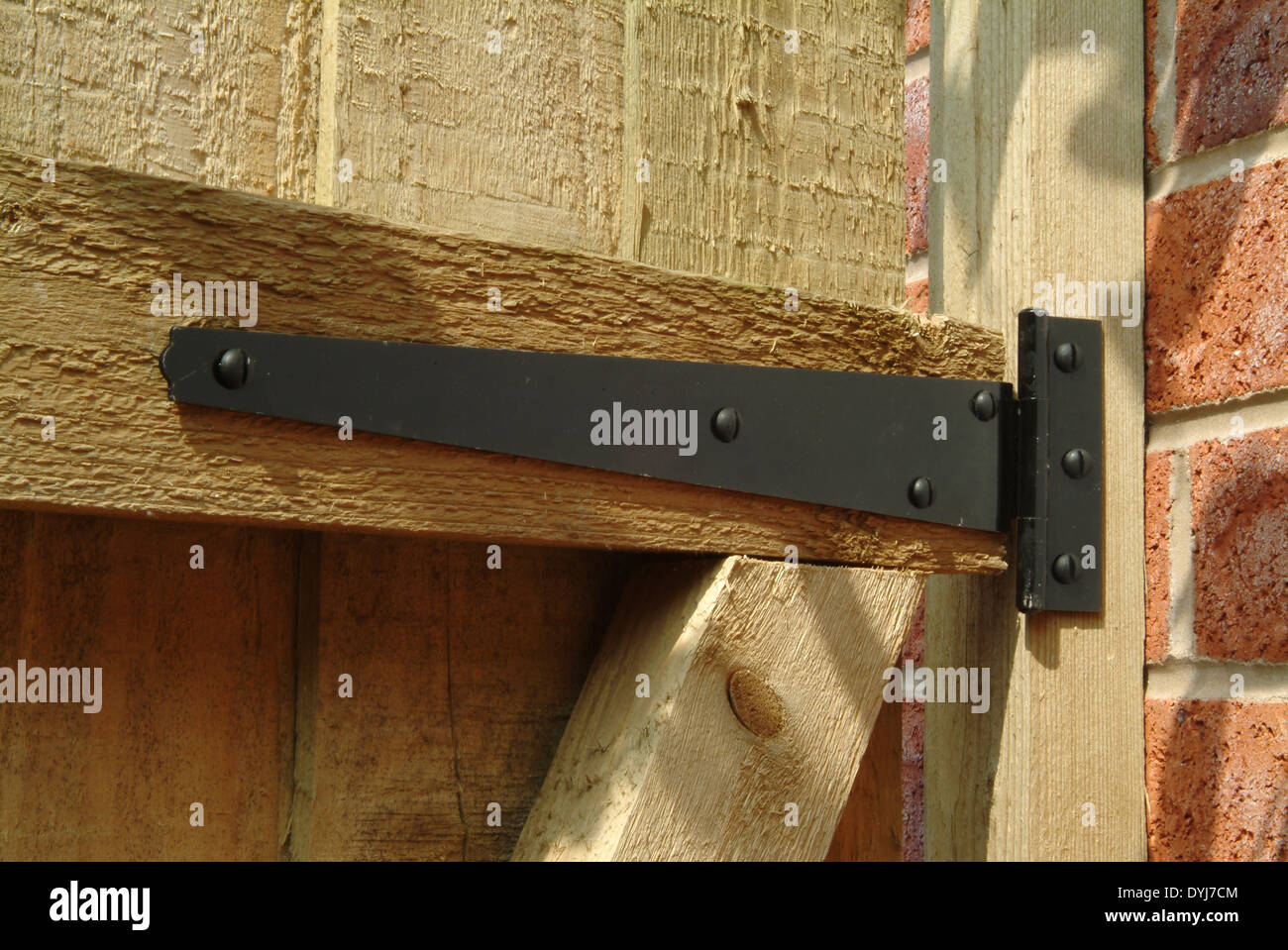 T hinge on wooden garden gate Stock Photo Alamy