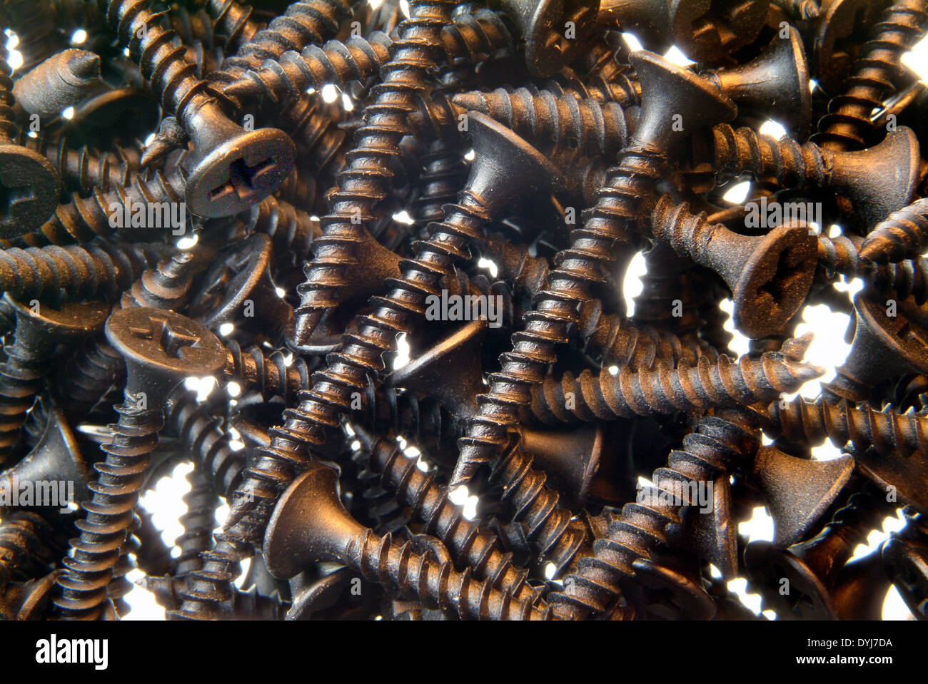 Drywall screws Stock Photo