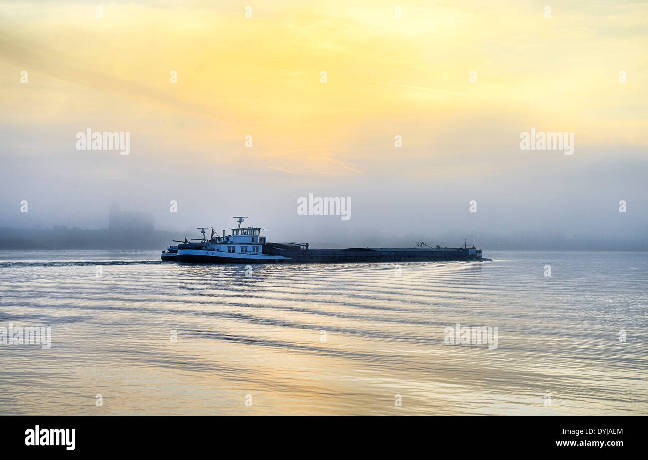 hip, with fog on the river Elbe in Kirchwerder, Hamburg, Germany Stock Photo