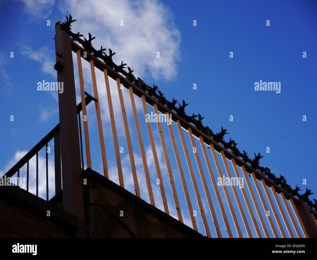 Cactus anti-burglary / theft / crime security / protection measures on a fence Stock Photo