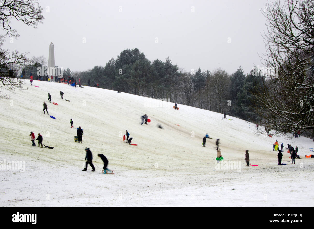 Sledging at Redhouse Park, Great Barr in the West Midlands UK Stock