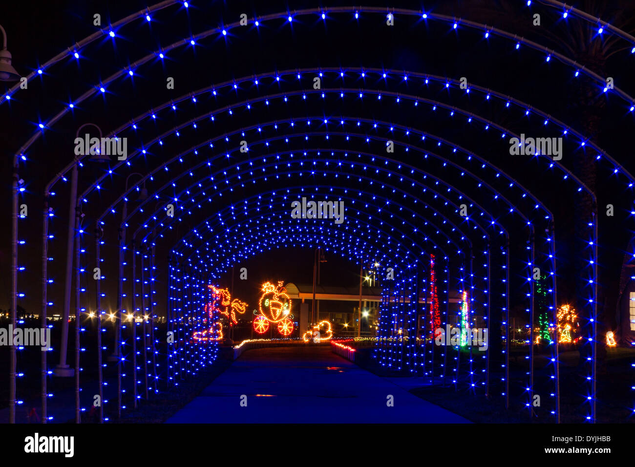 Moody Gardens Galveston Christmas 2024 Lok Piper Brittany
