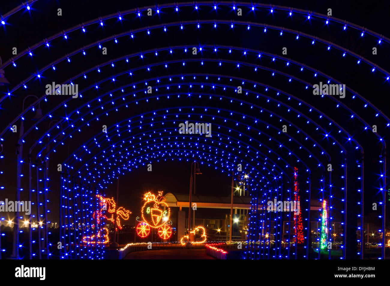 Christmas Lights And Displays At Moody Gardens In Galveston Texas