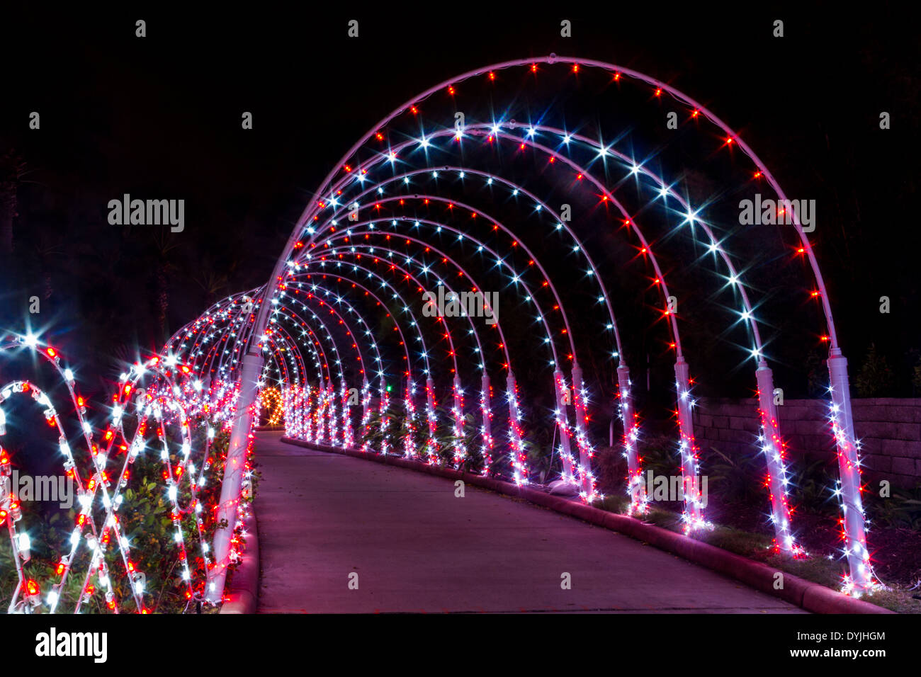 Galveston Christmas Lights 