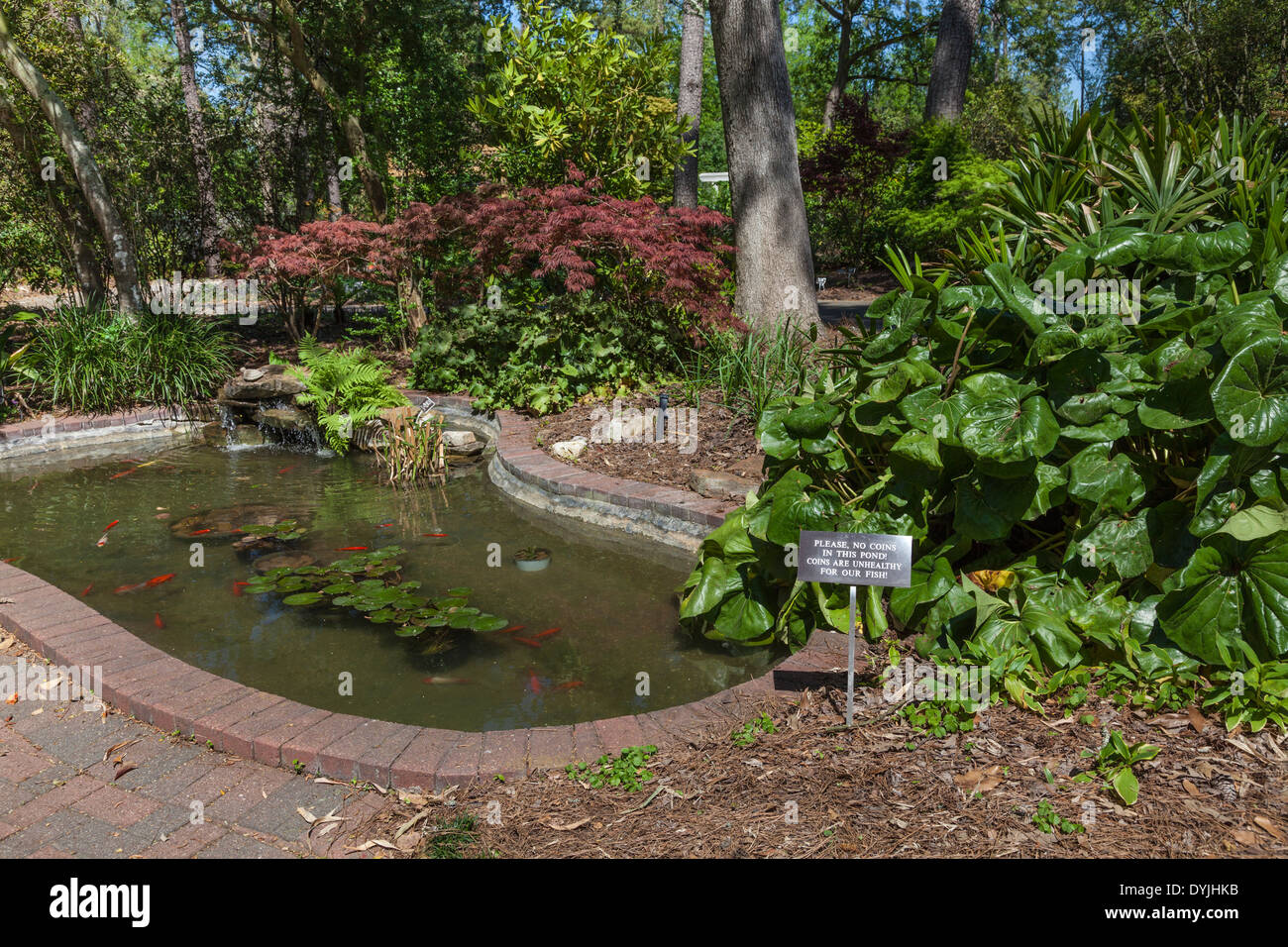 Fish pond with 'no coins' sign at Mercer Botanical Gardens. Stock Photo