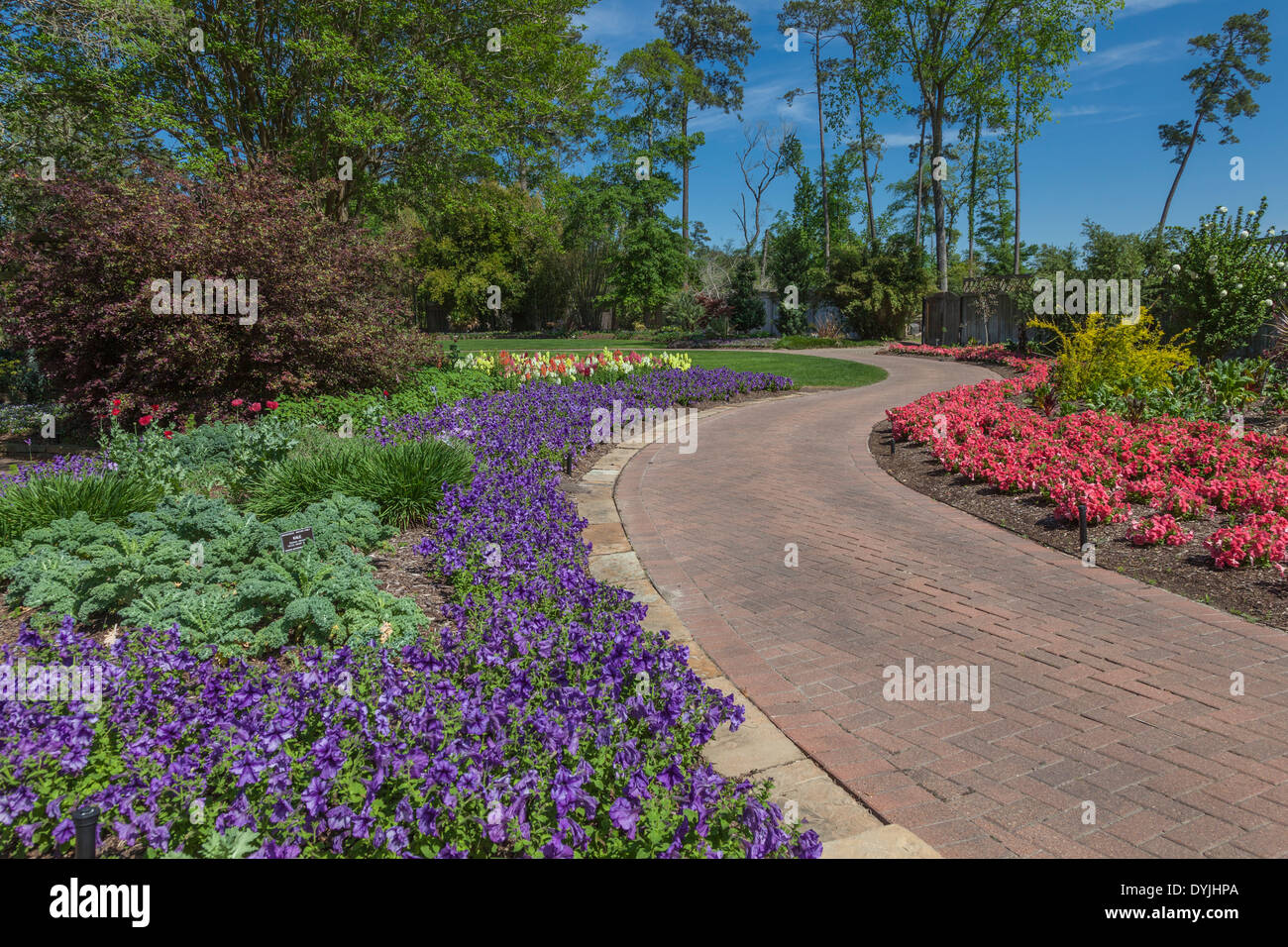 Garden Path With Spring Flowers At Mercer Botanical Gardens Stock