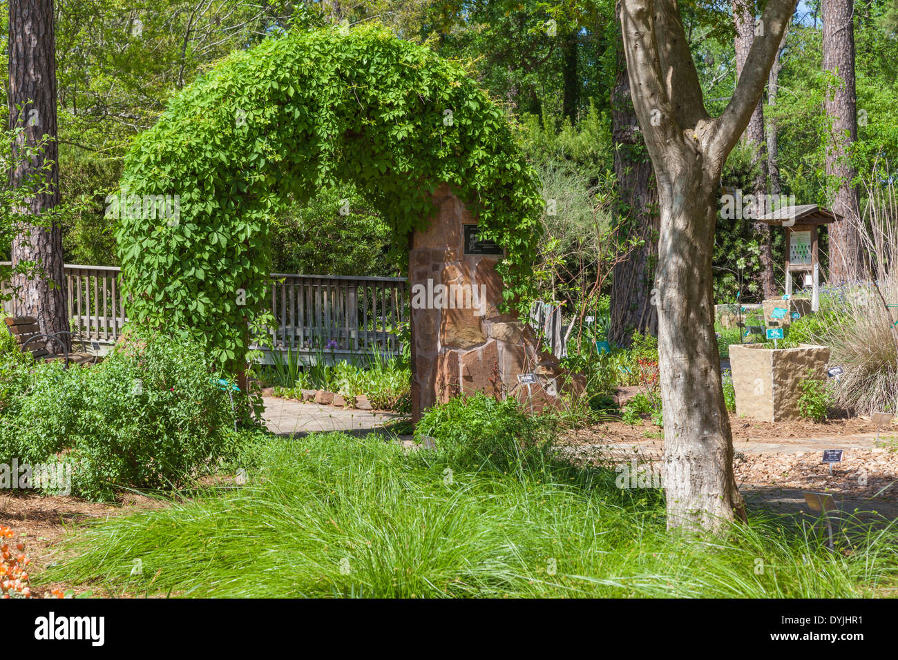 Ivy Over Entrance To Garden Path At Mercer Botanical Gardens Stock