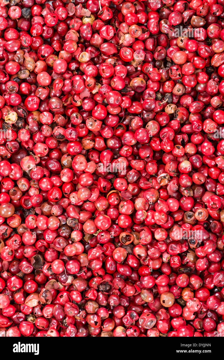 Pink Peppercorns (macro shot) for use as background image or as texture