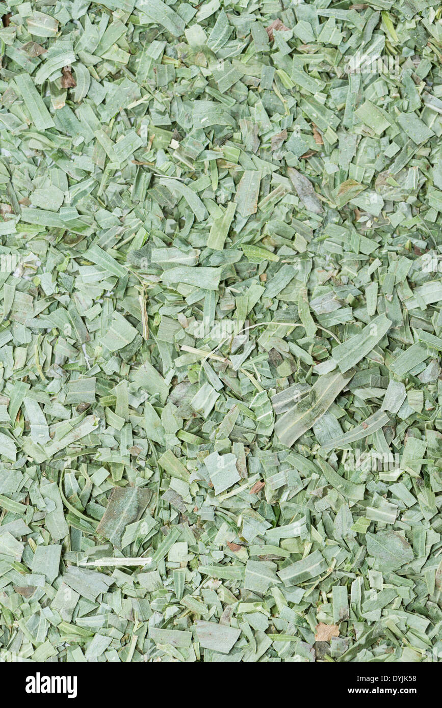 Dried Tarragon image for background or texture use Stock Photo Alamy