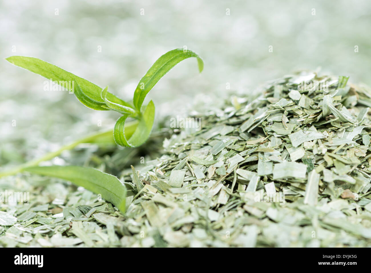 Dried Tarragon image for background or texture use Stock Photo Alamy
