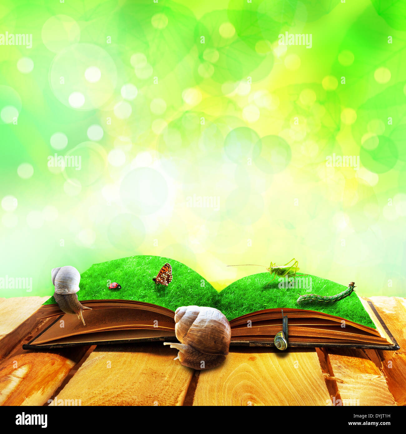 Open old book of magic with animals Stock Photo