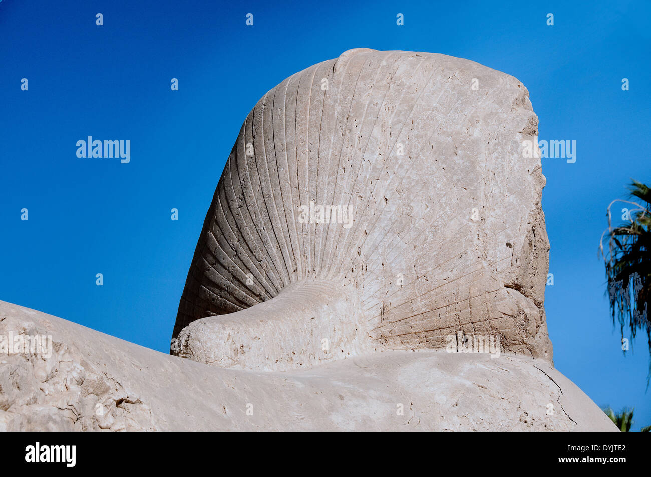 Memphis: the alabaster sphinx.View of the nemes Stock Photo - Alamy