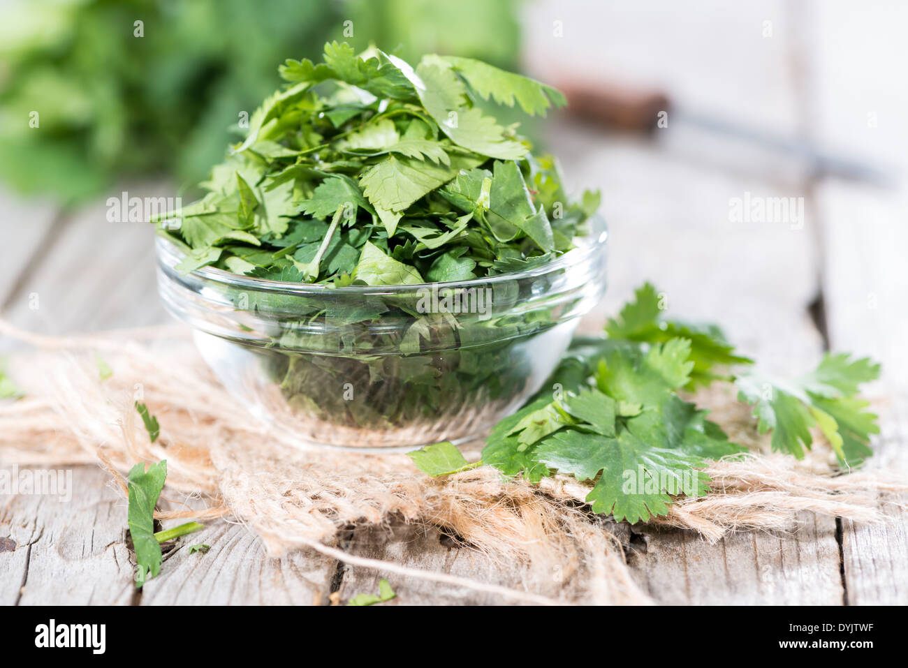 Portion of fresh green Cilantro leaves on wooden background Stock Photo