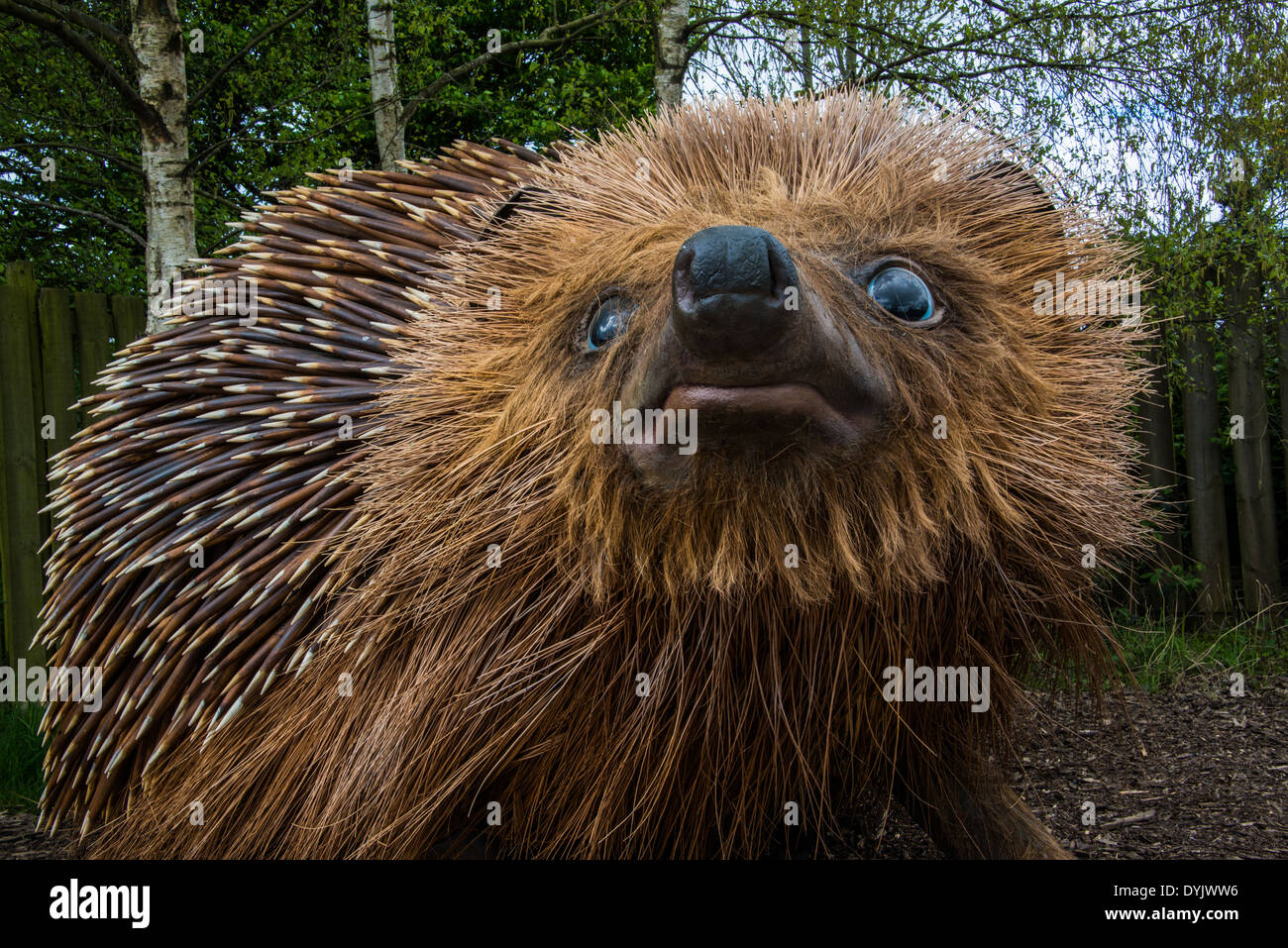 Model of a hedgehog. 'Erinaceus europaceus' Stock Photo