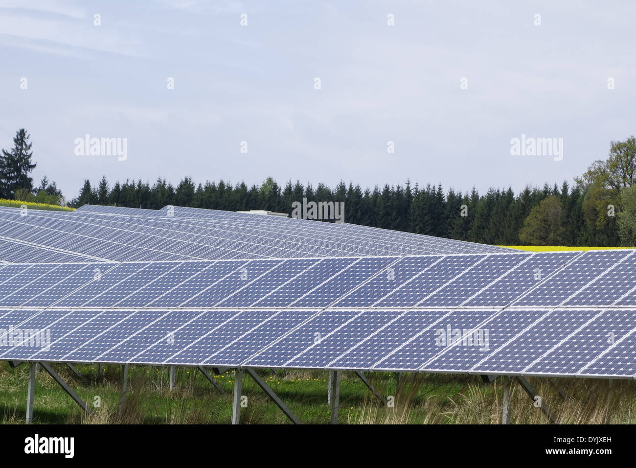Solarfeld in Niederbayern, Bayern, Deutschland, Europa Stock Photo