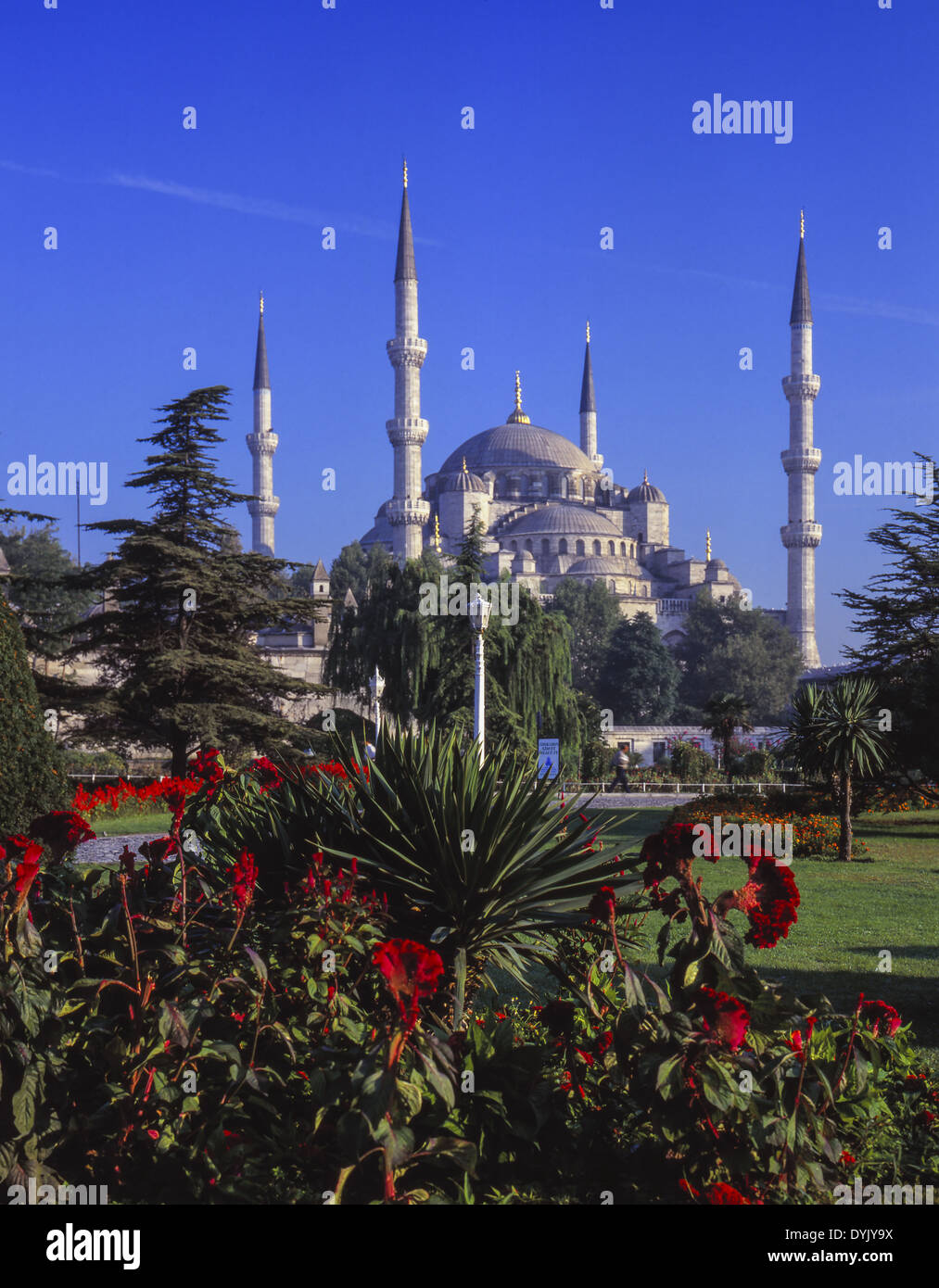 Türkei, Istanbul, Blaue Moschee, Sultan Ahmed Cami Stock Photo