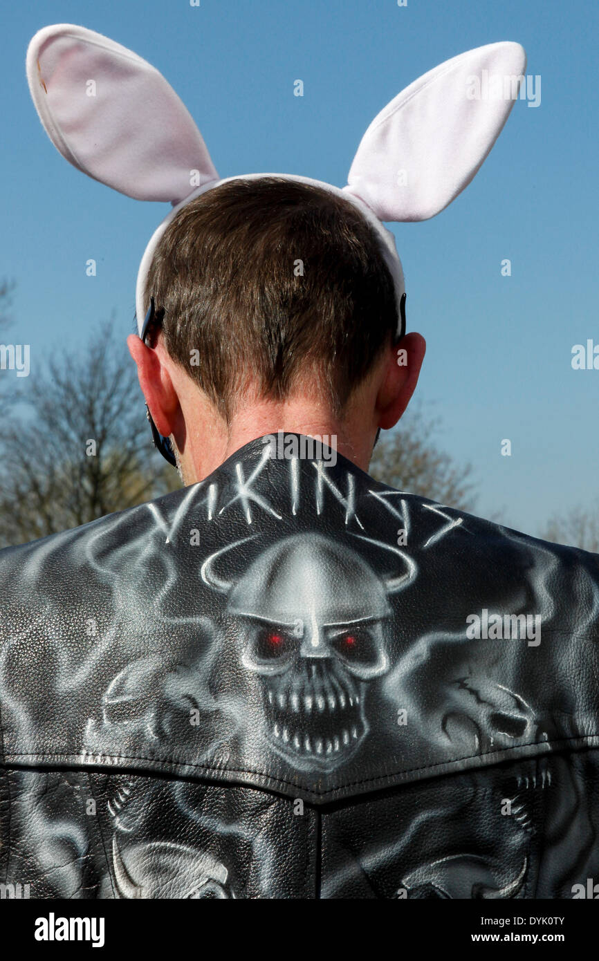 Perhaps rabbits hi-res stock photography and images - Alamy