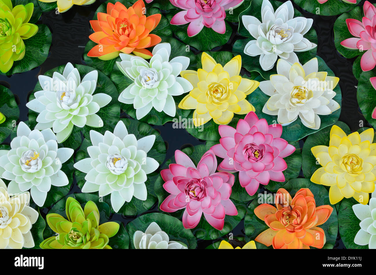 Pattern of Plastic Lotus Flowers Water Lilies or Water Lily Blooms Stock Photo