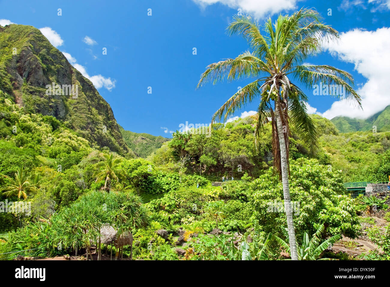 Iao Valley State Park on Maui Hawaii Stock Photo