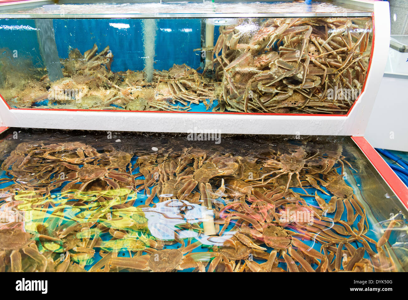 Crabs sale hires stock photography and images Alamy