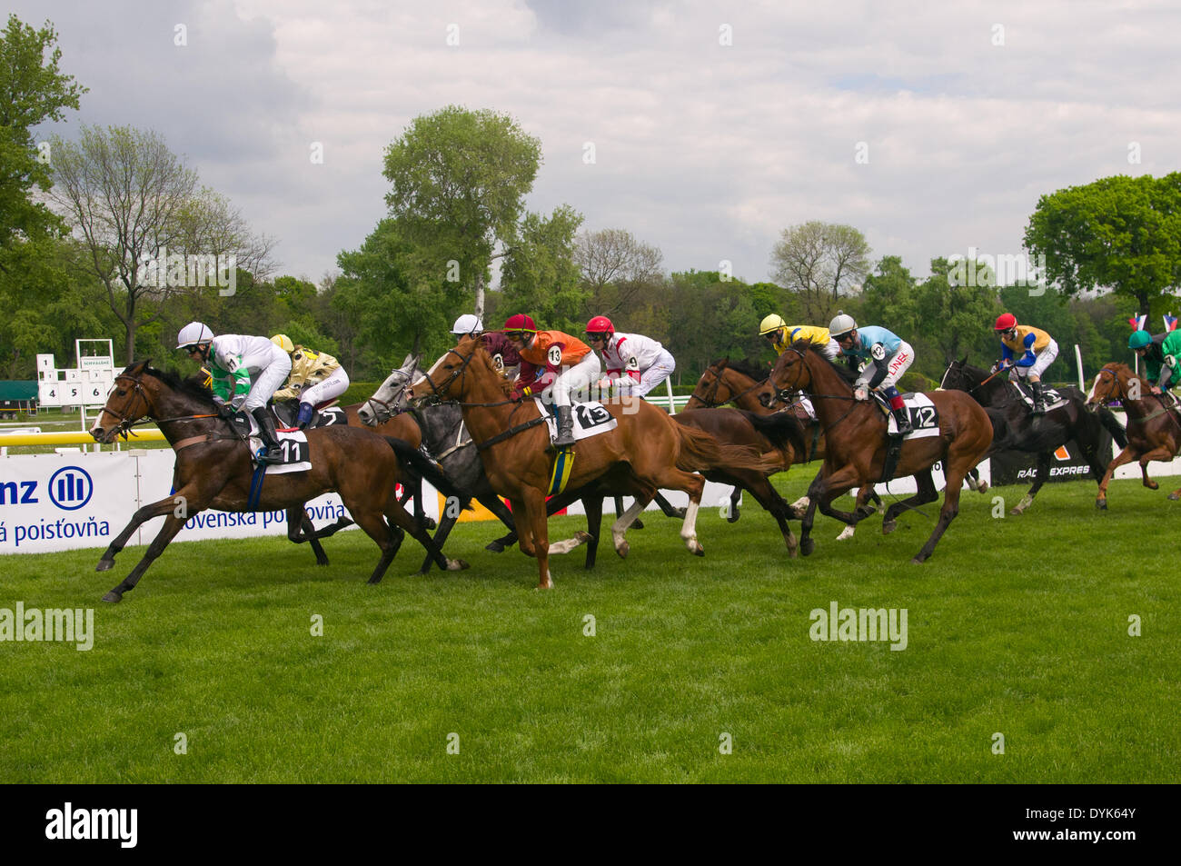 BRATISLAVA, SLOVAKIA, 20th April 2014. A group of jockeys and horses leaded by Twist Dancer (left, number 11, CZE, jockey Martin Srnec) competes during the race for the Rosenstrum Prix. The main race for the April Grand Prix that was held at the racecource of Bratislava, the capital of the Slovak Republic, was preceded by race for Otto Suchovsky Memorial and several other races. Credit:  Dmitry Argunov/Alamy Live News Stock Photo
