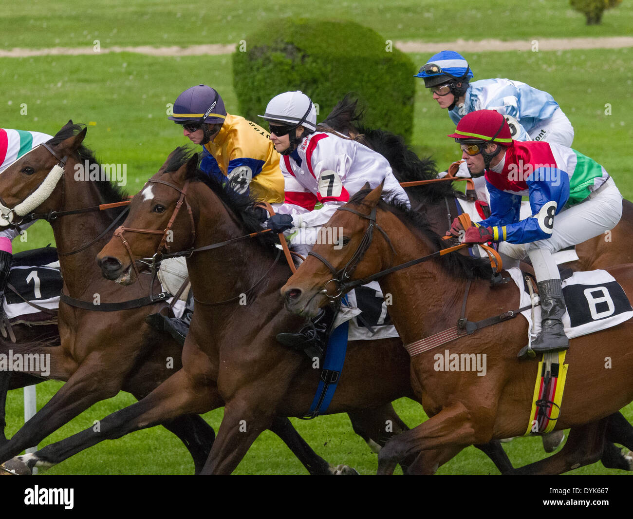 BRATISLAVA, SLOVAKIA, 20th April 2014. A group of competitors with No 8 Radek Man on Morajlo (HUN) in the front-right and No 7 Ivona Hladikova on Aurell (CZE) in the center during the Prieros Prix race. The main race for the April Grand Prix that was held at the racecource of Bratislava, the capital of the Slovak Republic, was preceded by race for  Otto Suchovsky Memorial and several others races. Credit:  Dmitry Argunov/Alamy Live News Stock Photo