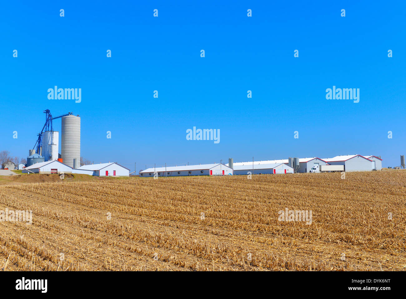 Ontario, Canada, Field and Farm Barns Houses, Silo in St. Jacobs ...