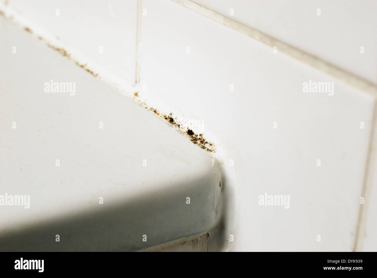 Mould in a corner of a bathroom Stock Photo