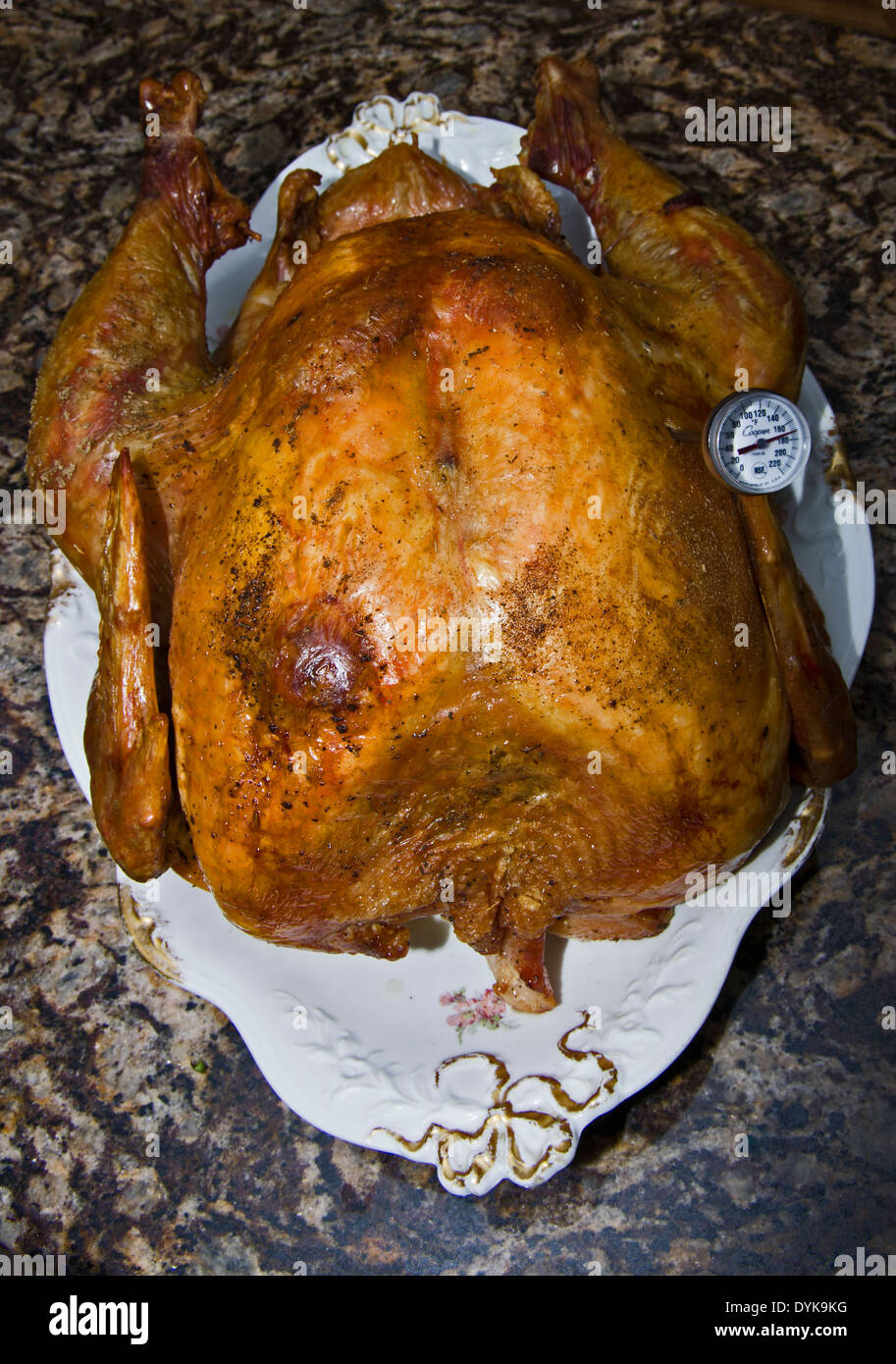 https://c8.alamy.com/comp/DYK9KG/roast-turkey-with-thermometer-DYK9KG.jpg
