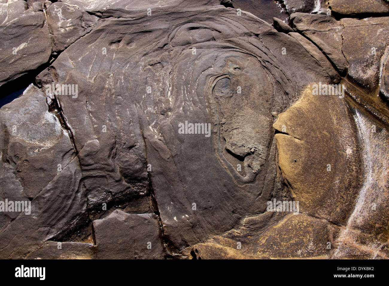 Swirl Pattern Rocks swirling patterns and textures in seashore rocks Stock Photo - Alamy