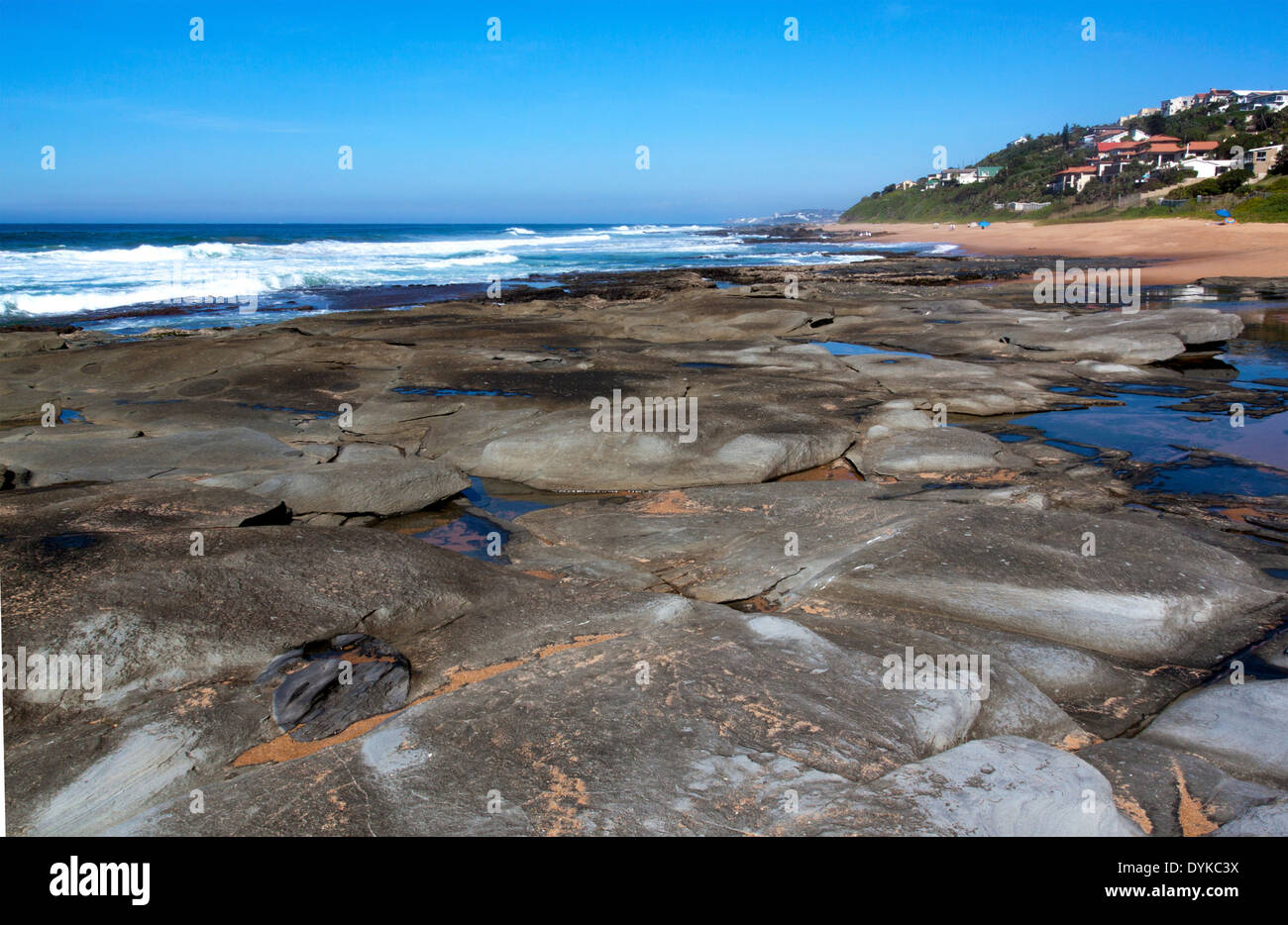 gray flat drying rocks at low tide Stock Photo Alamy