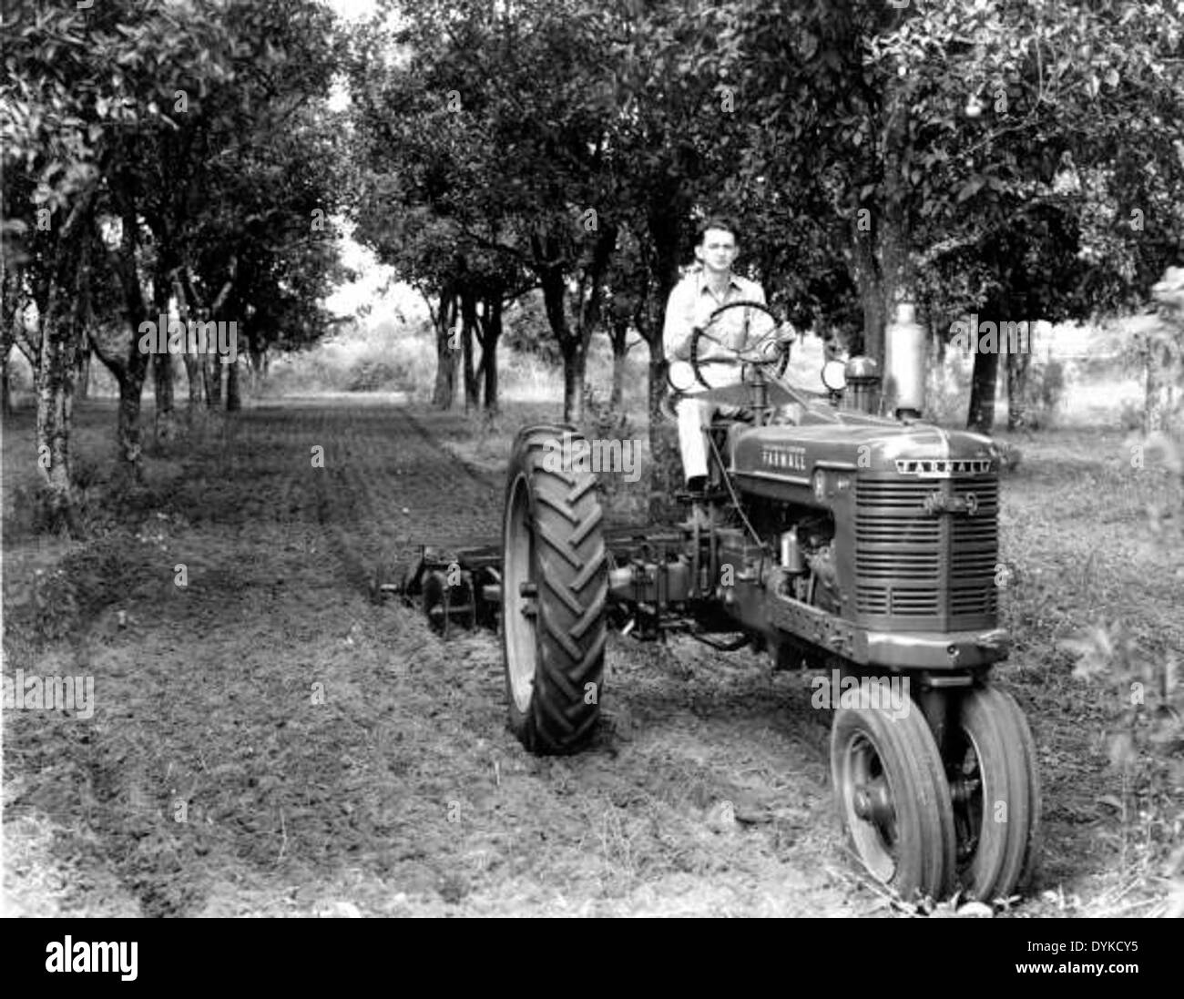 James H. Mills on his tractor - Ft. Meade, Florida Stock Photo