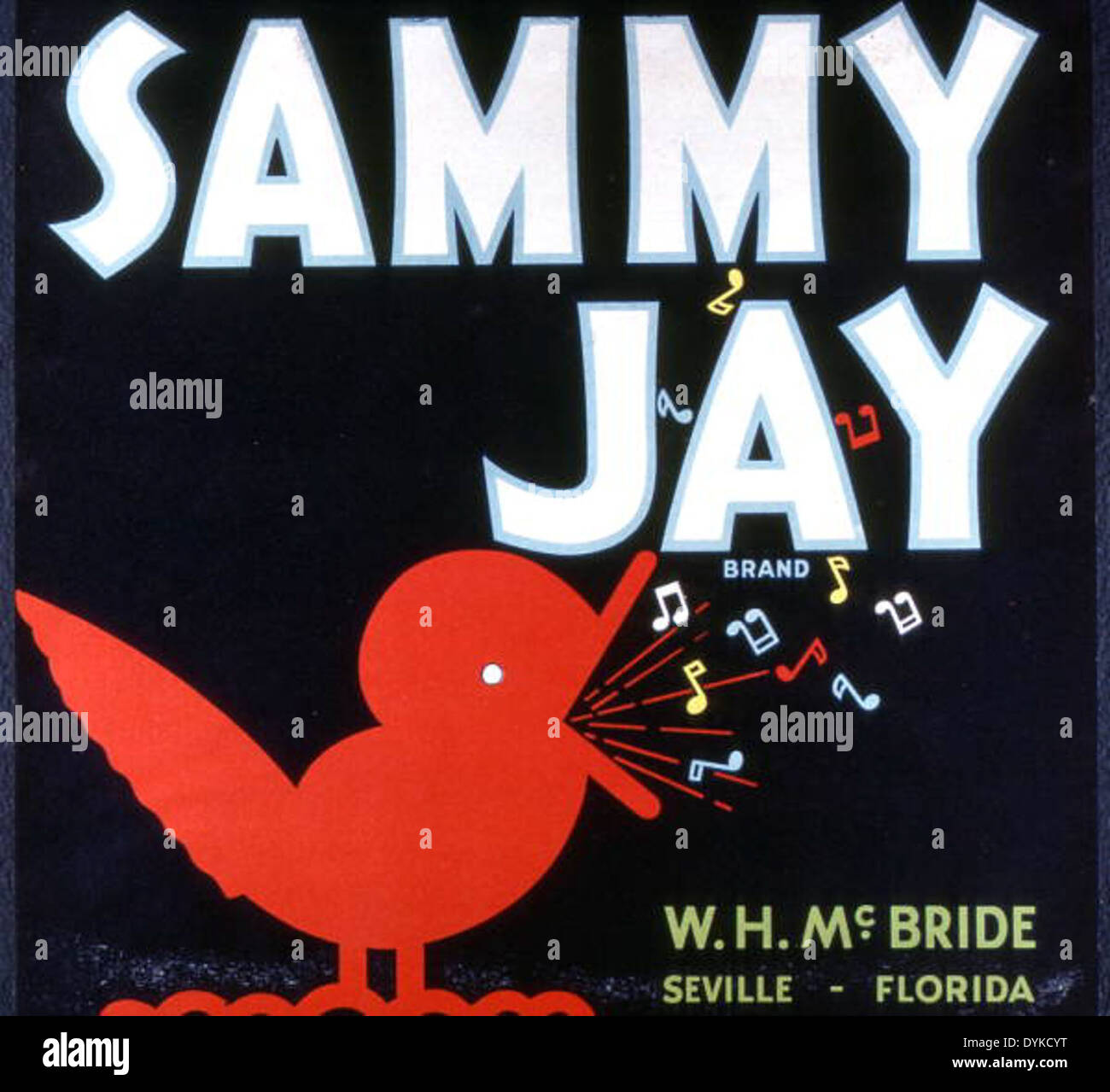 W.H. McBride's Sammy Jay Brand citrus label Stock Photo