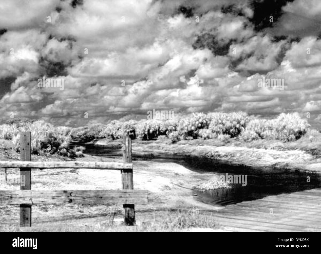 Clouds over Brighton Reservation, Florida Stock Photo