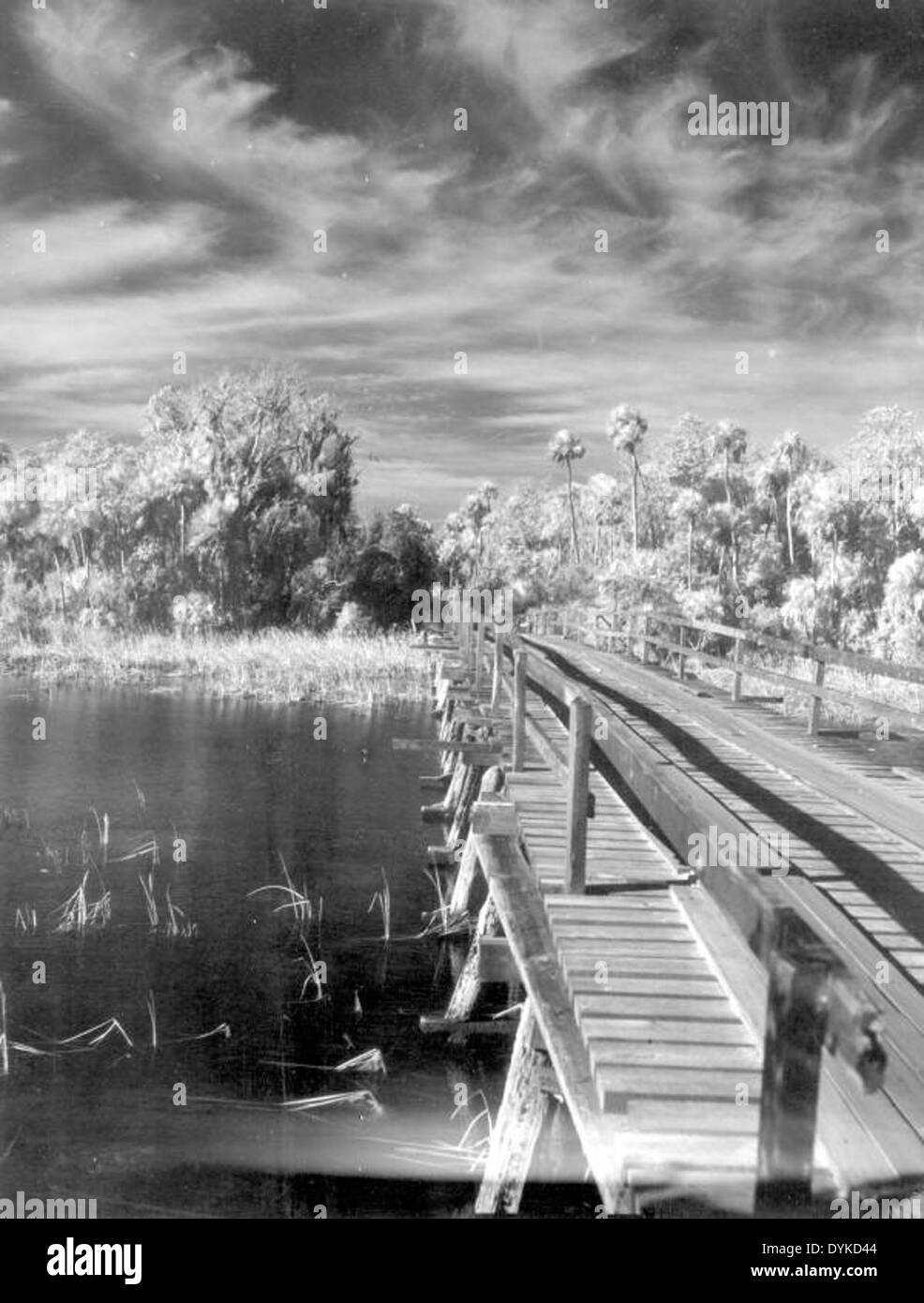Bridge over Homosassa River - Homosass Springs, Florida Stock Photo