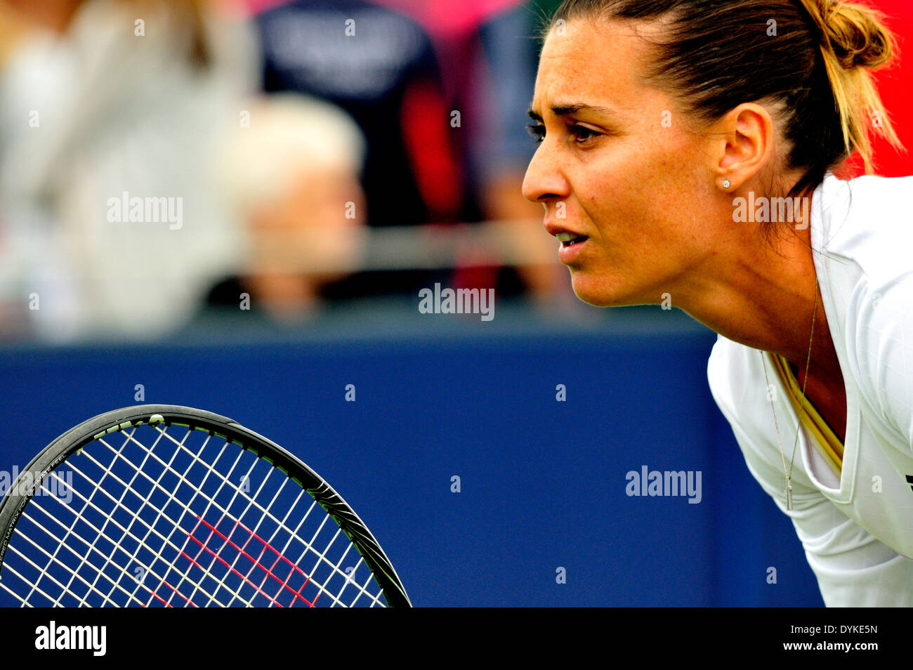 Flavia Pennetta (Italy) at Eastbourne, 2013 Stock Photo