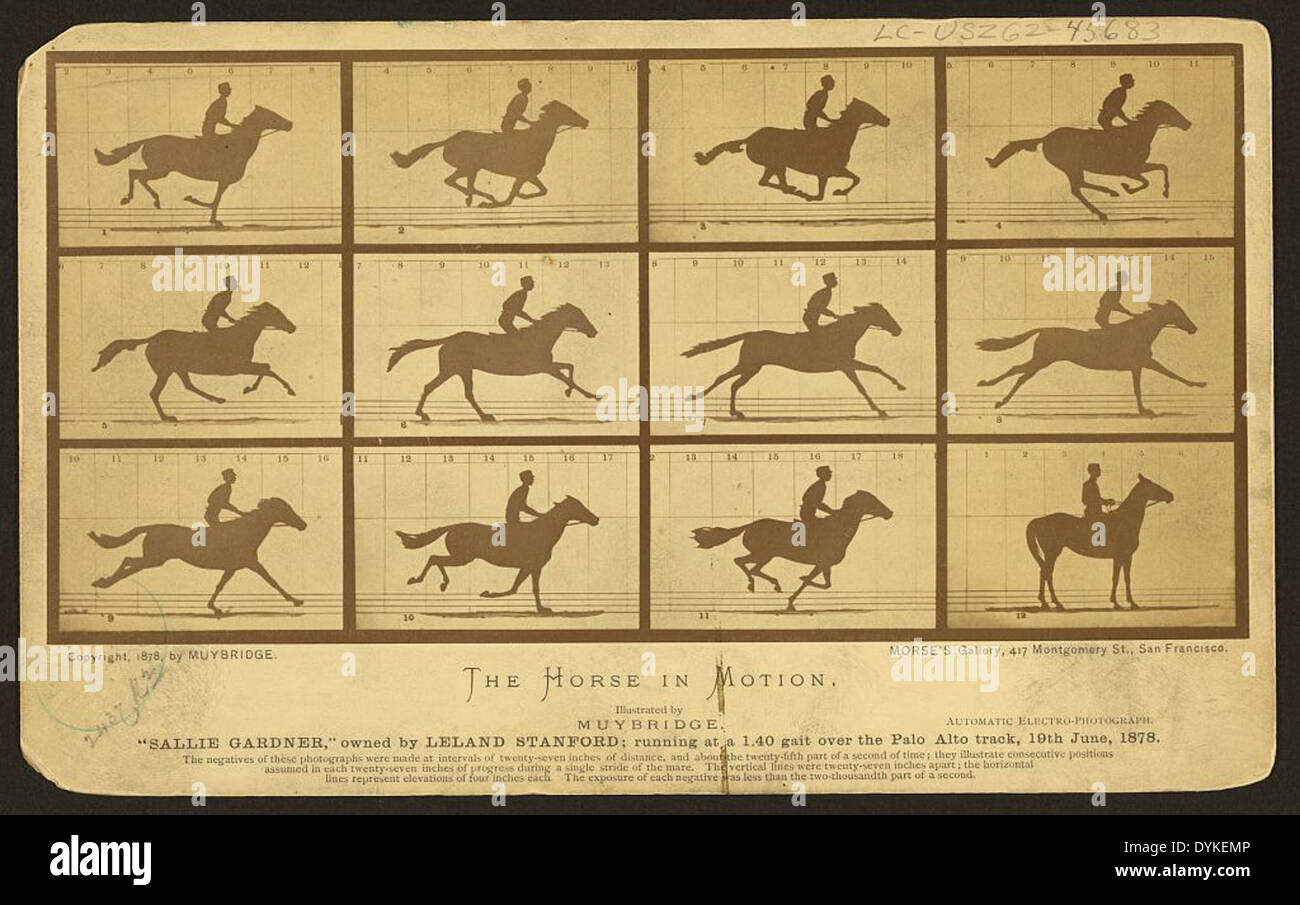 The horse in motion, illus. by Muybridge. 'Sallie Gardner,' owned by Leland Stanford, running at a 1:40 gait over the Palo Alto track, 19 June 1878: 12 frames showing diagram of foot movements (front) Stock Photo