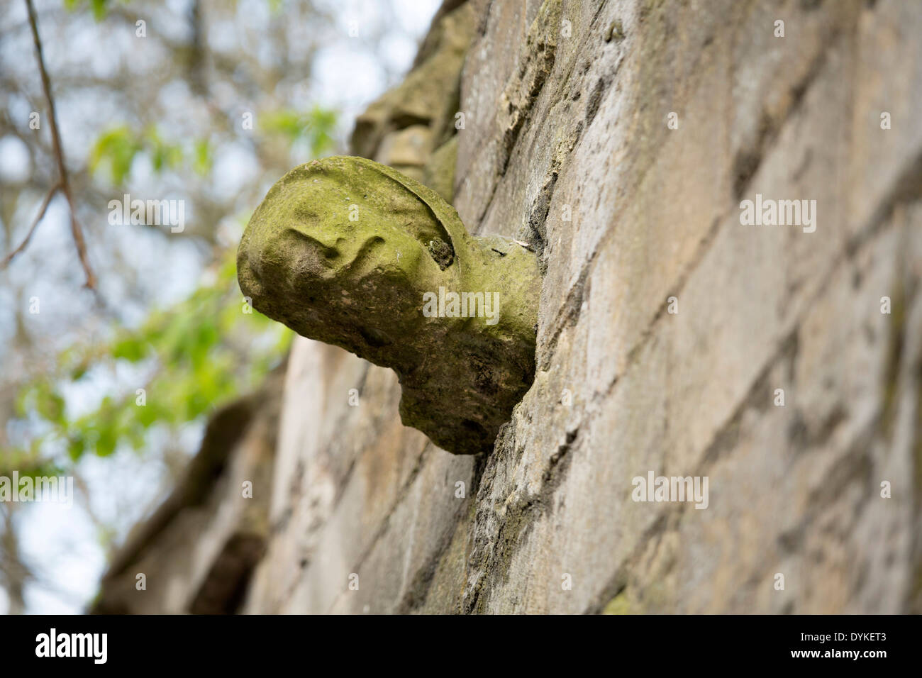 A gargoyle like statue poking out of the wall on Eastgate one of the walls around Lincoln Cathedral. Stock Photo