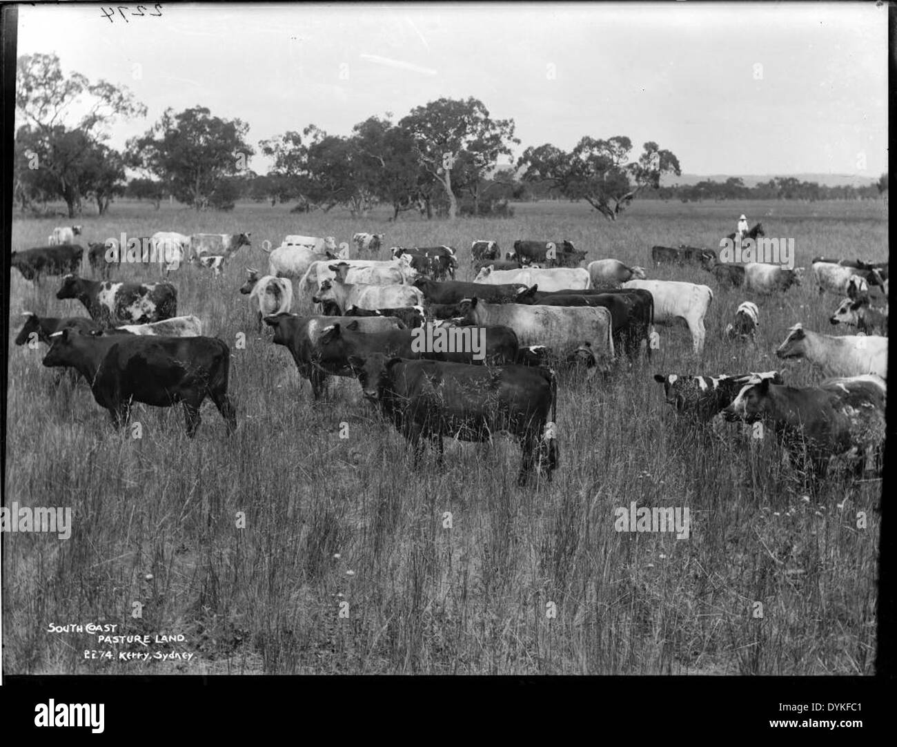 Pasture land powerhousemuseum hi-res stock photography and images - Alamy