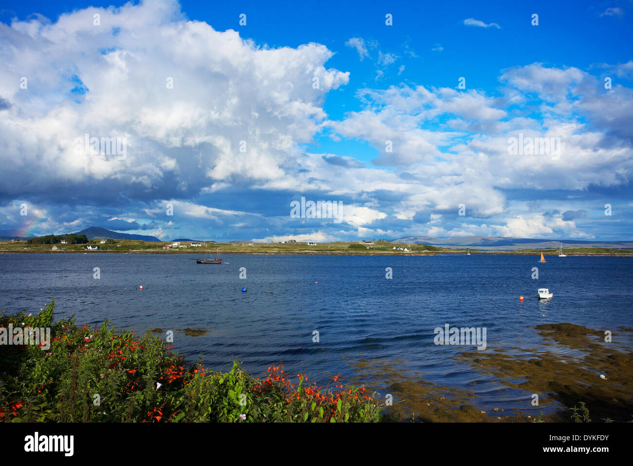 An inlet on the Irish Coast Stock Photo - Alamy