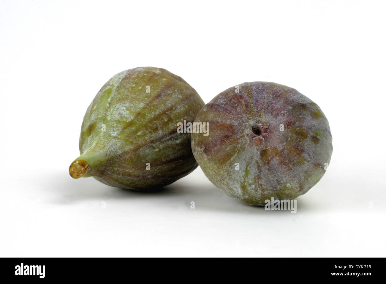 edible fig, common fig (Ficus carica) Stock Photo