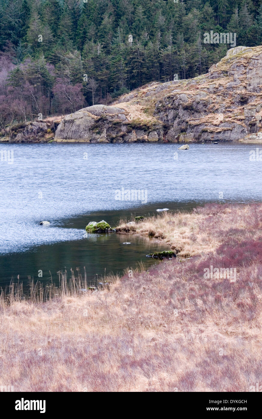 Llynnau Mymbyr lakes and colours in the moorland landscape, Capel Curig, Conwy, Snowdonia, Wales, UK Stock Photo