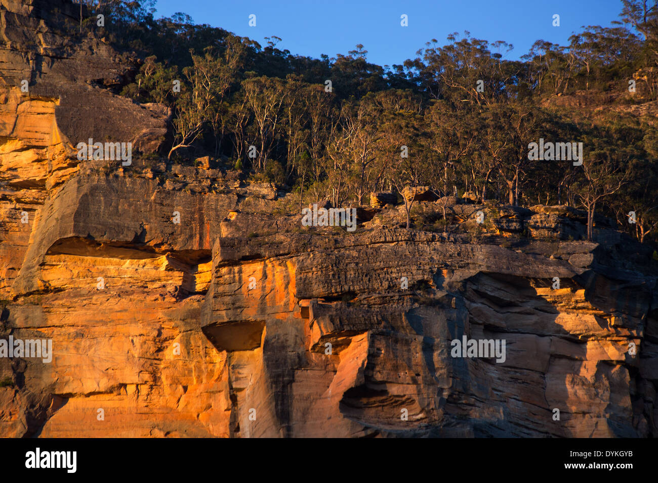 Rugged sandstone cliffs in warm late afternoon sunlight, Wollemi National Park, NSW, Australia Stock Photo