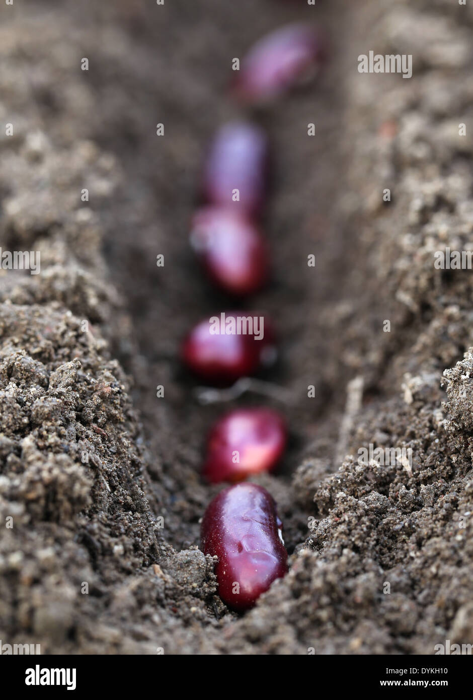 Indian red soil hi-res stock photography and images - Alamy