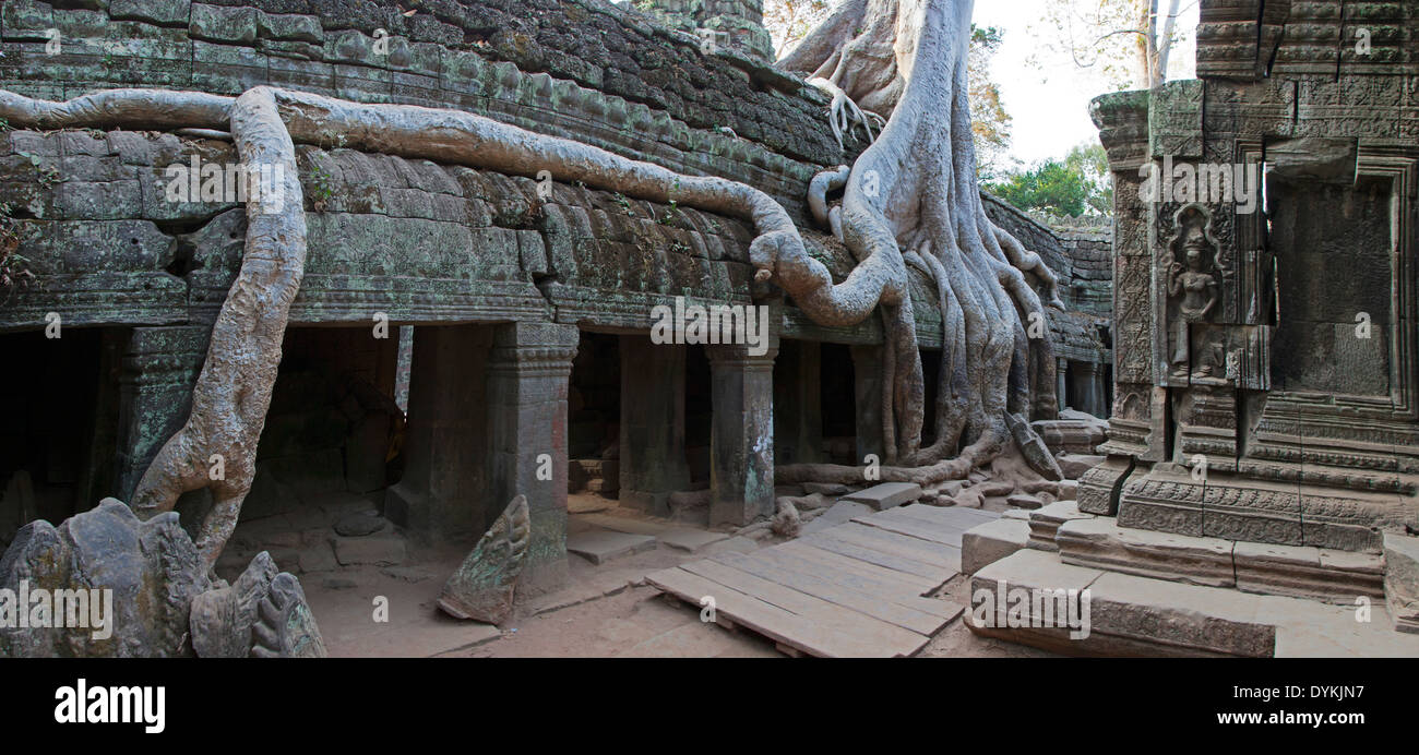 Ta Prohm Temple (Rajavihara), Angkor, Siem Reap, Cambodia Stock Photo