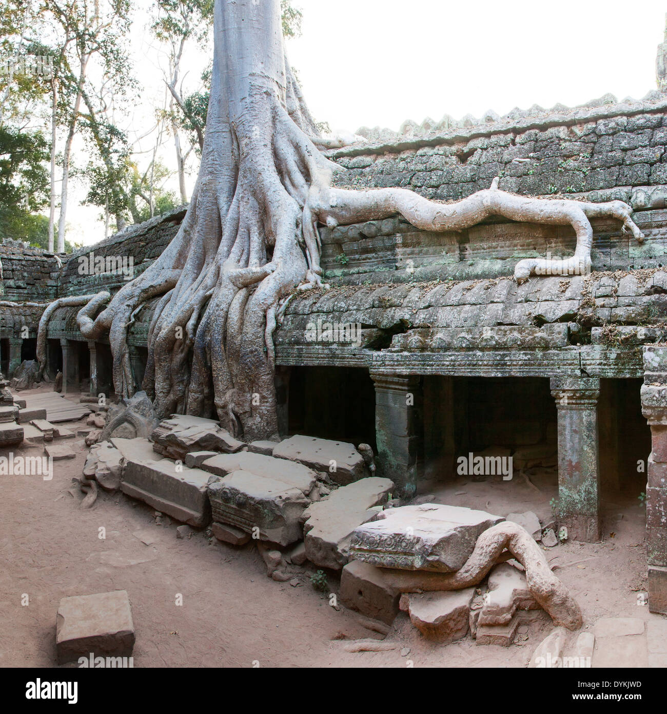Ta Prohm Temple (Rajavihara), Angkor, Siem Reap, Cambodia Stock Photo