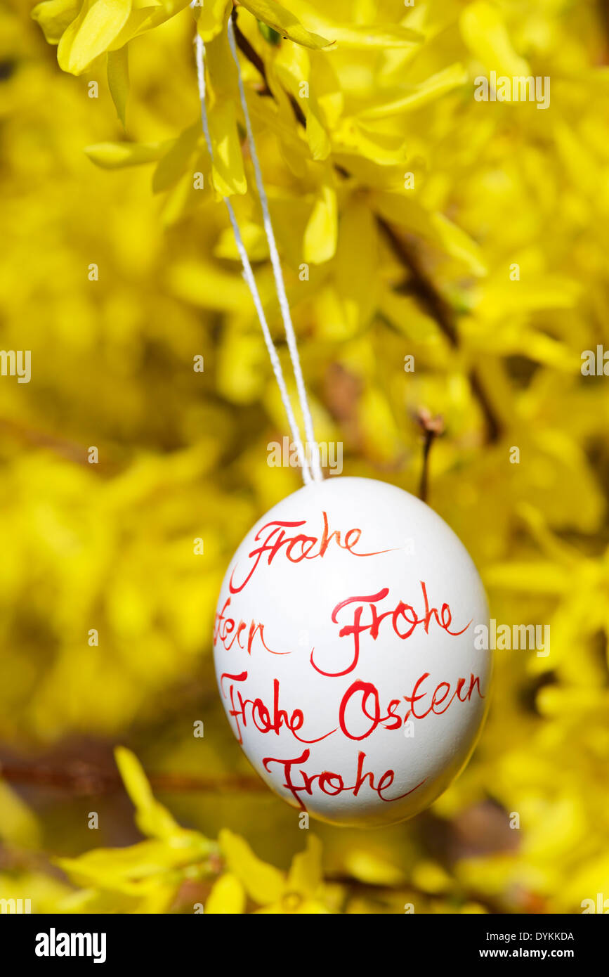 Osterei mit Aufschrift Frohe Ostern Stock Photo