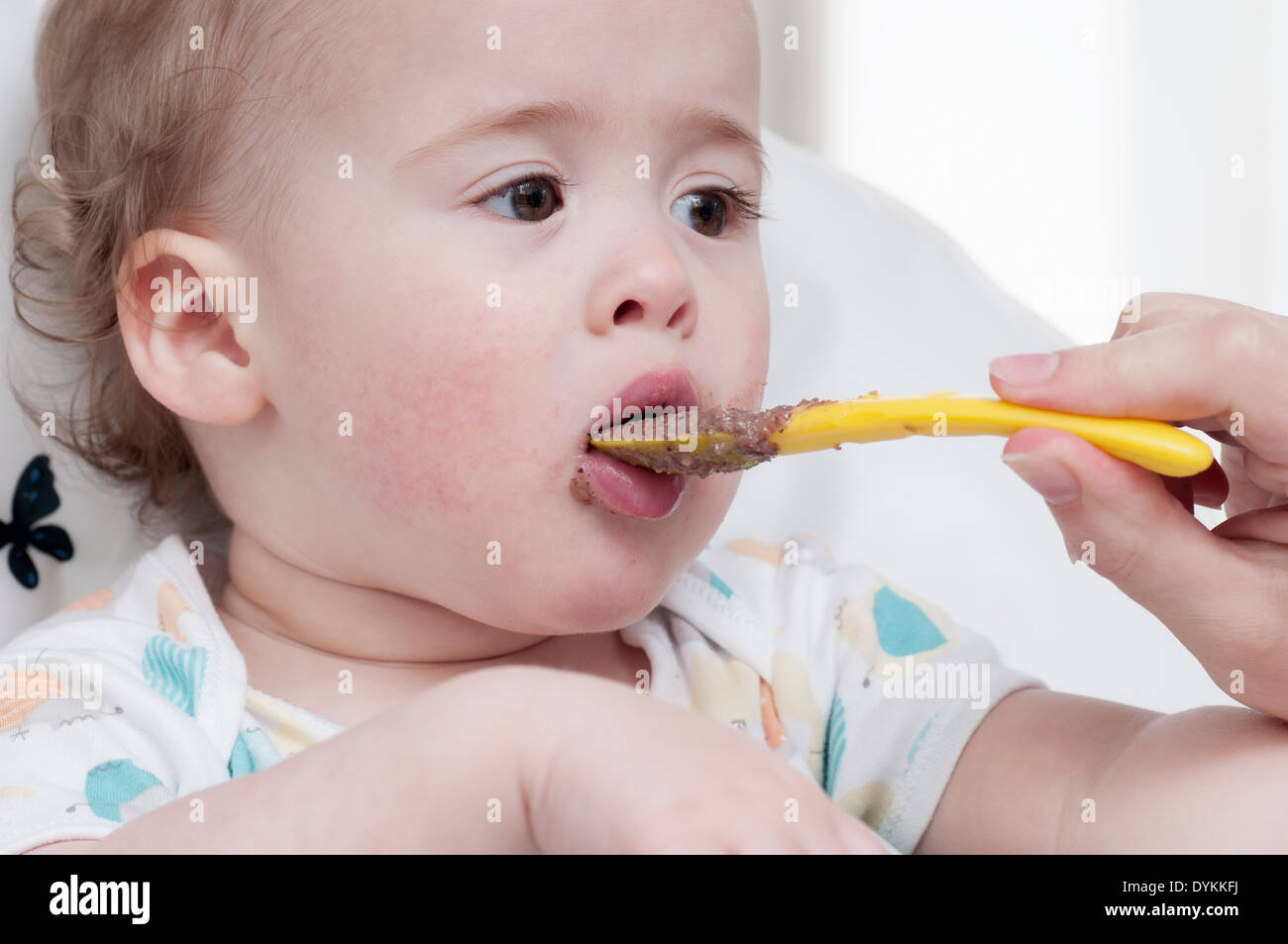Baby in chair eating baby food from a spoon Stock Photo