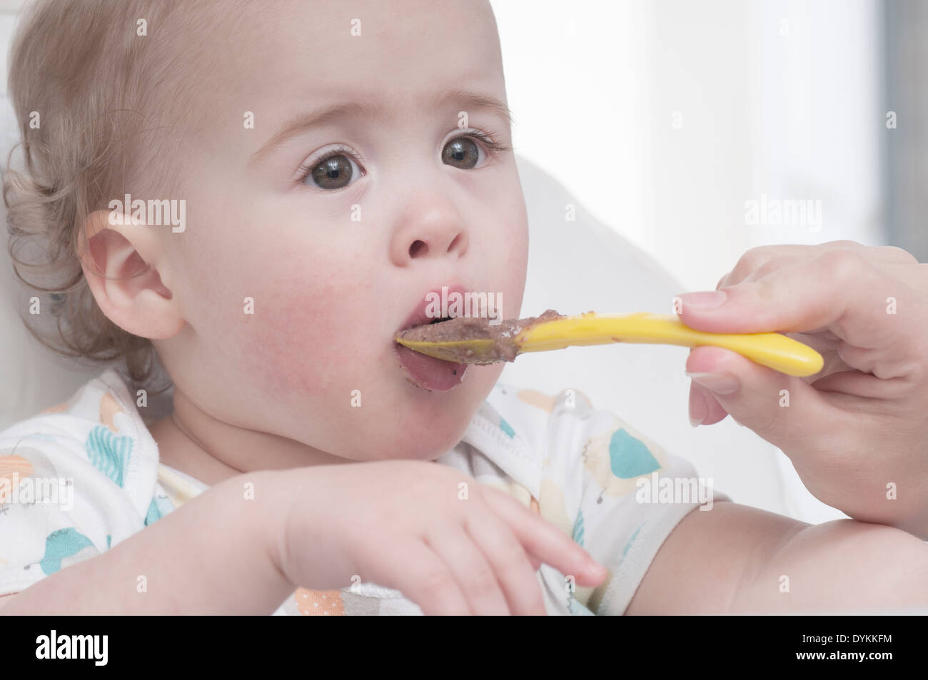 Baby in chair eating baby food from a spoon Stock Photo